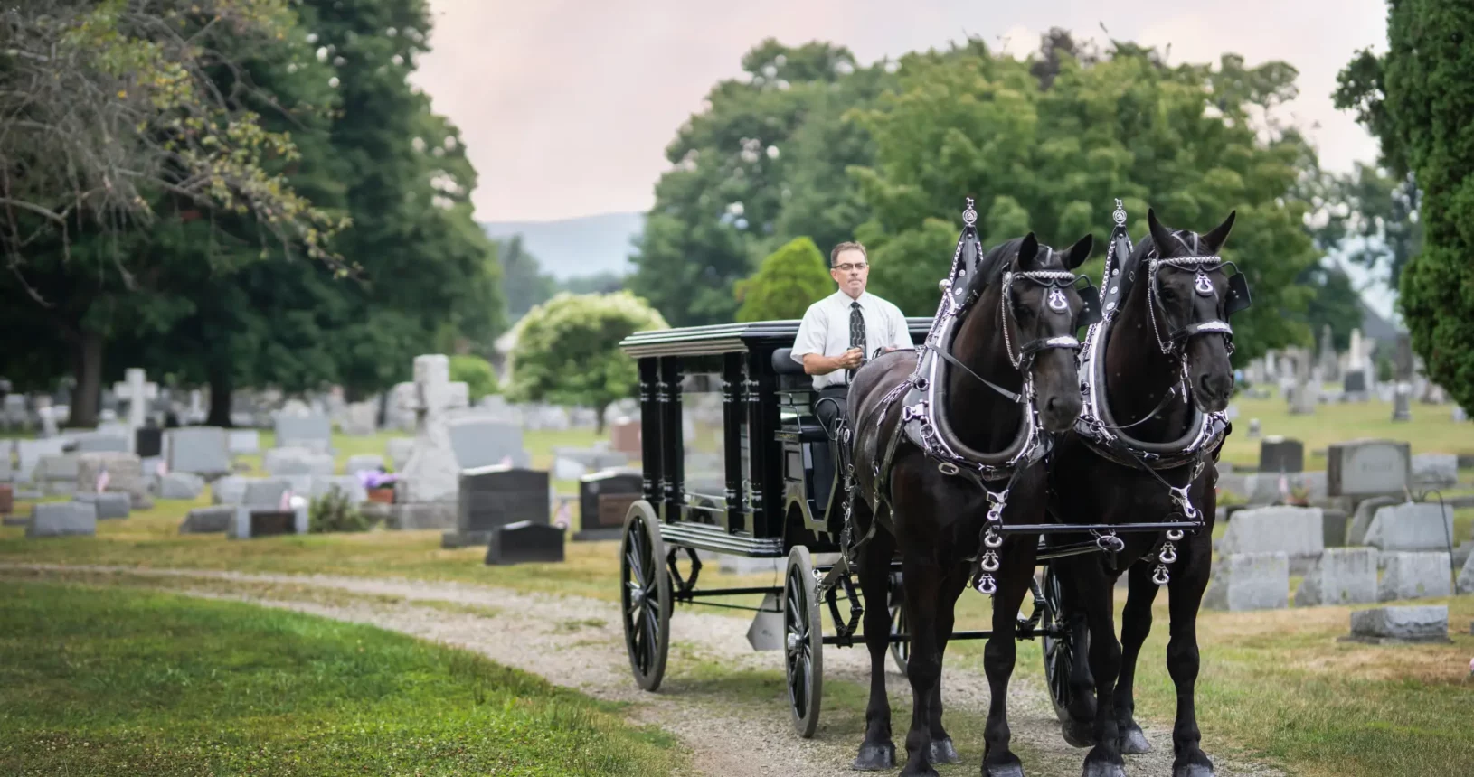 A man has doing riding Horse-drawn vehicle