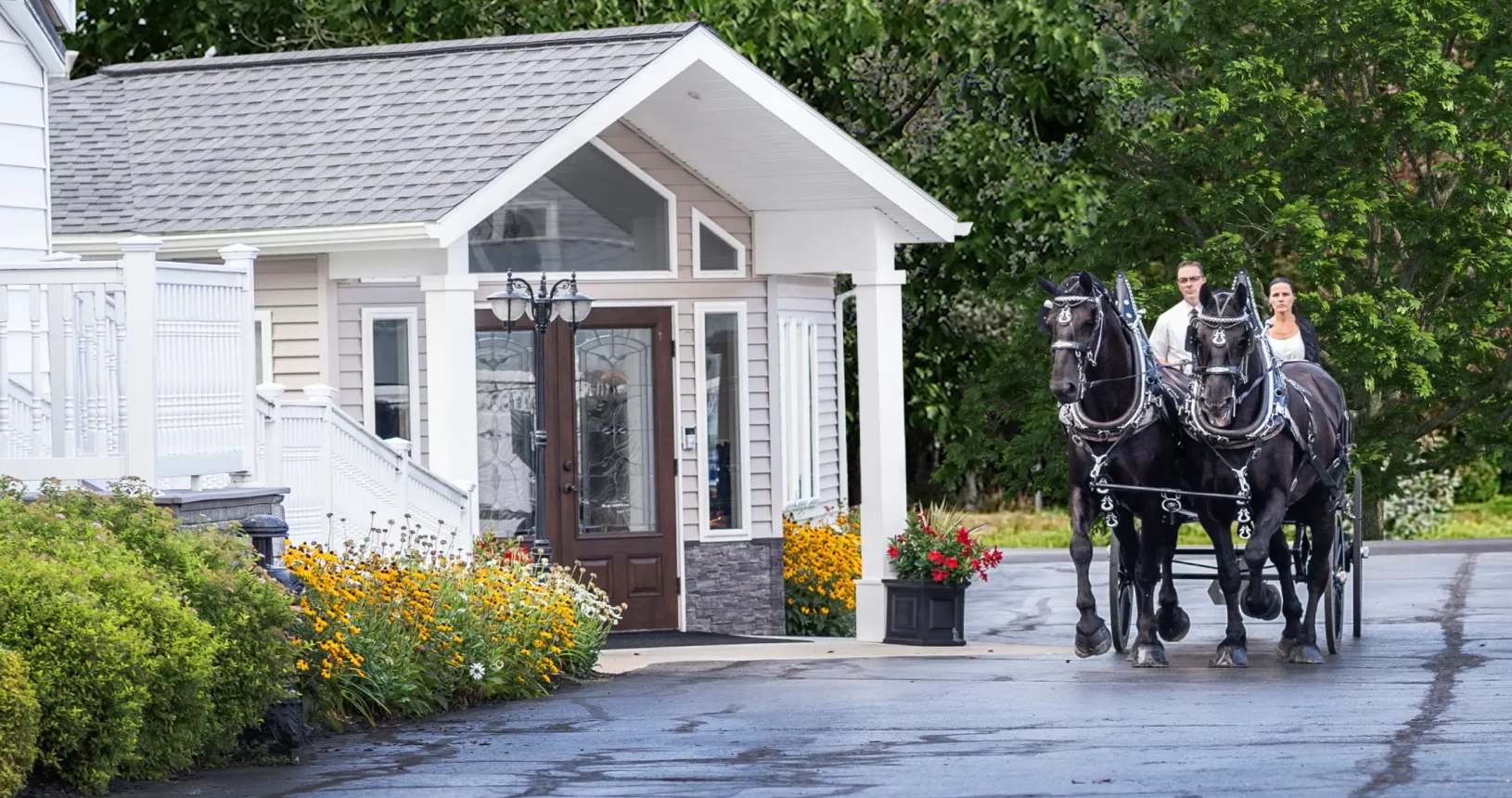 A man has doing riding Horse-drawn vehicle