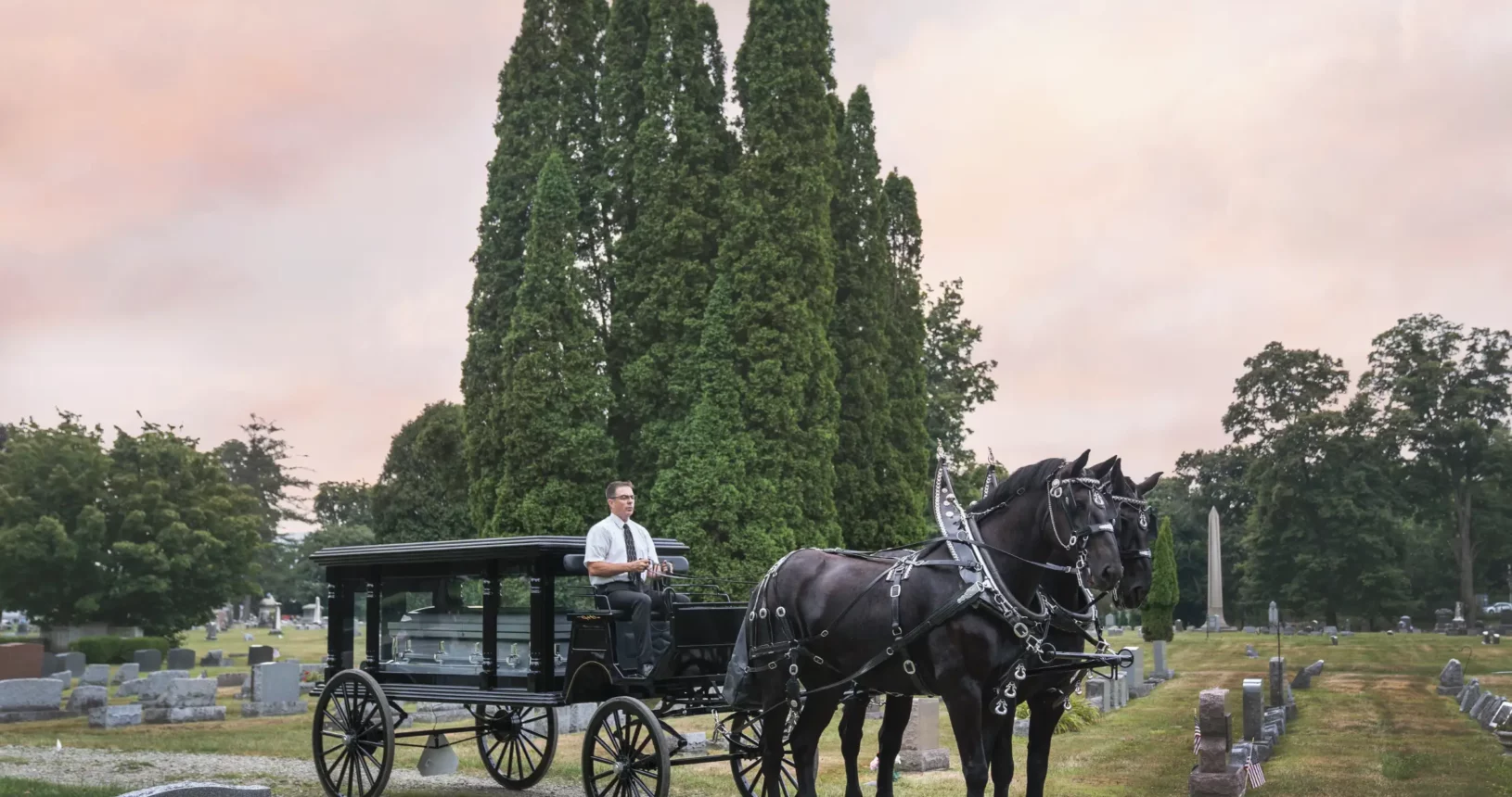 A man has doing riding Horse-drawn vehicle